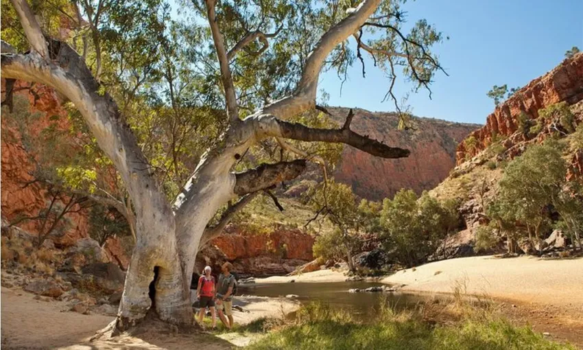 West MacDonnell Ranges Tour from Alice Springs | Experience Oz