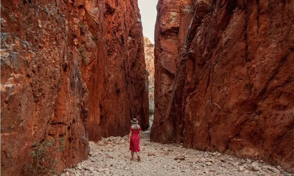 West MacDonnell Ranges Full Day Tour from Alice Springs