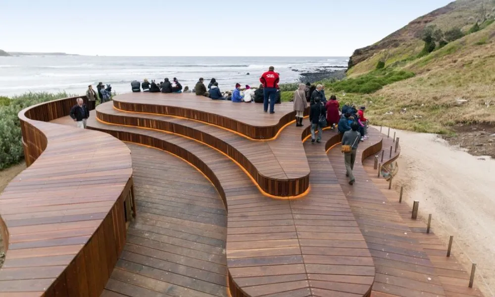 Phillip Island Penguin & Koala Encounter Day Tour | Experience Oz-7