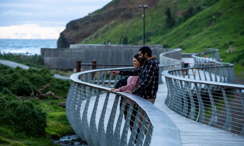 Phillip Island Penguin & Koala Encounter Day Tour | Experience Oz-5