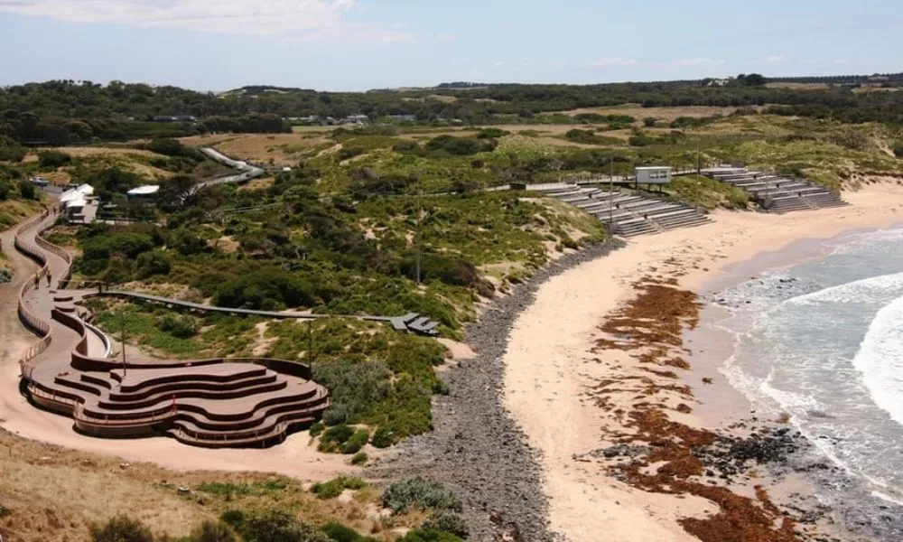 Phillip Island Penguin & Koala Encounter Day Tour | Experience Oz-4