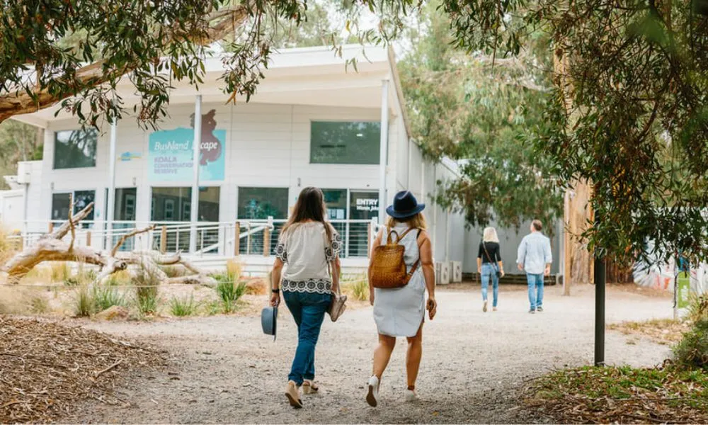 Phillip Island Penguin & Koala Encounter Day Tour | Experience Oz-11