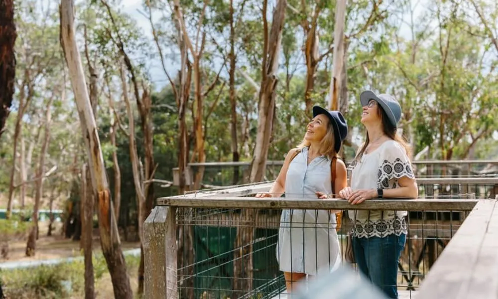 Phillip Island Penguin & Koala Encounter Day Tour | Experience Oz-13