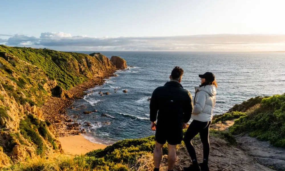 Phillip Island Penguin & Koala Encounter Day Tour | Experience Oz-15