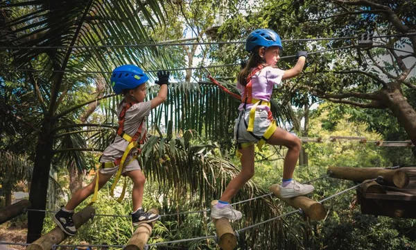Abbotsbury Kids Treetop Adventure - 2 Hours