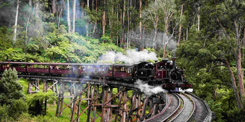 Phillip Island Penguins & Puffing Billy Adventure | Experience Oz
