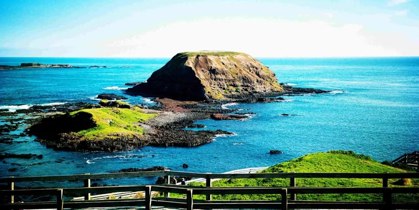 Phillip Island Penguins & Puffing Billy Adventure | Experience Oz