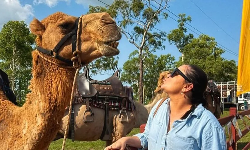 Daytime Mindil Beach Camel Ride, 45 Minutes - Darwin