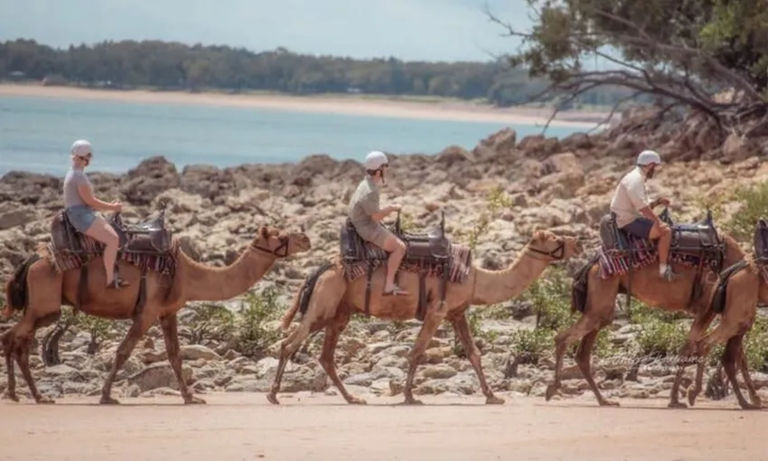 Sunset Mindil Beach Camel Ride, 45 Minutes - Darwin