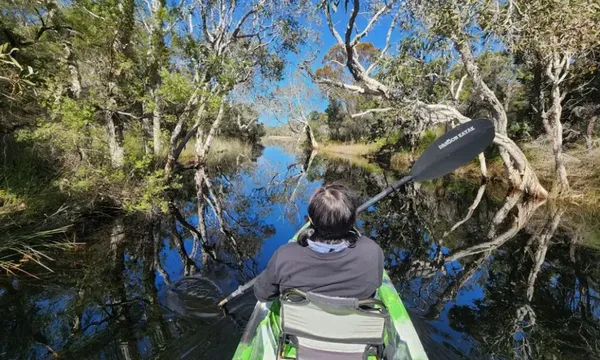 Bribie Island Beach & Bunker Tour with Kayaking - Half Day