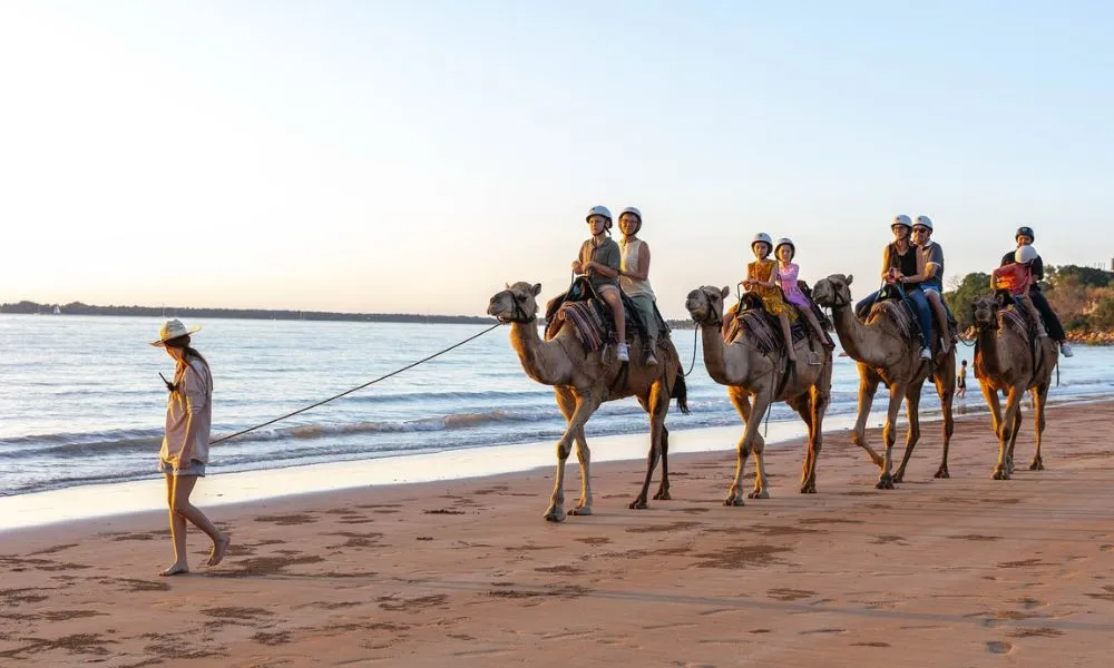 Darwin Camel Ride along Mindil Beach - 45 Minutes | Experience Oz-1