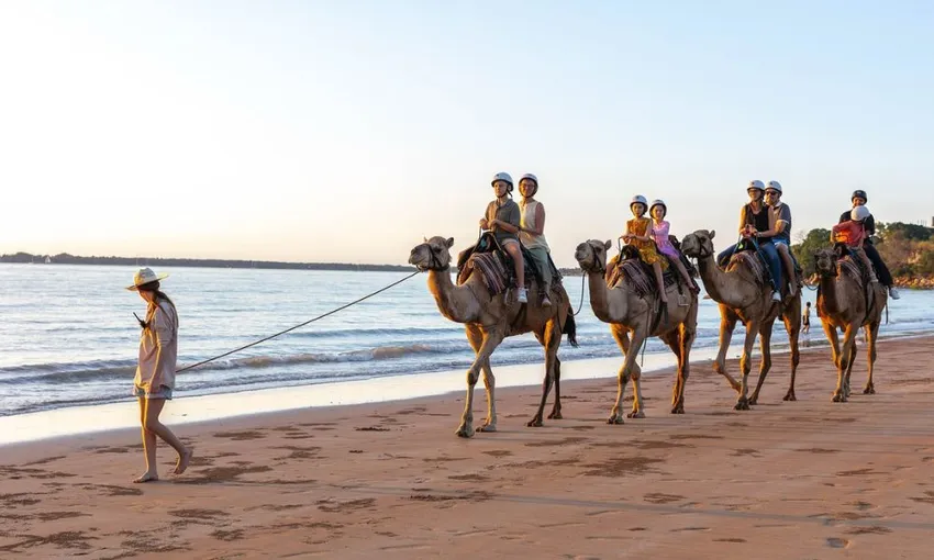 Darwin Camel Ride along Mindil Beach - 45 Minutes | Experience Oz
