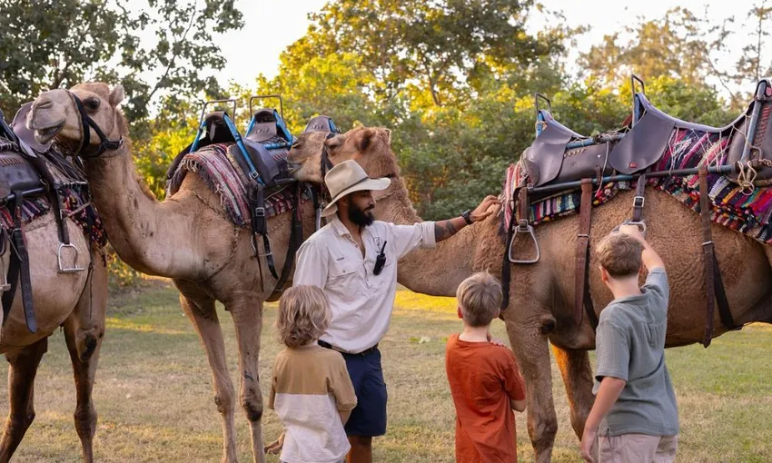 Darwin Camel Ride along Mindil Beach - 45 Minutes | Experience Oz