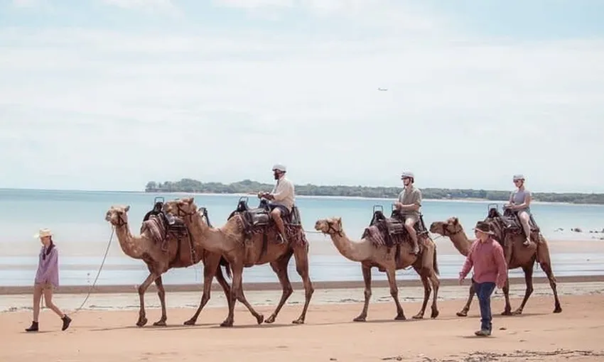 Darwin Camel Ride along Mindil Beach - 45 Minutes | Experience Oz