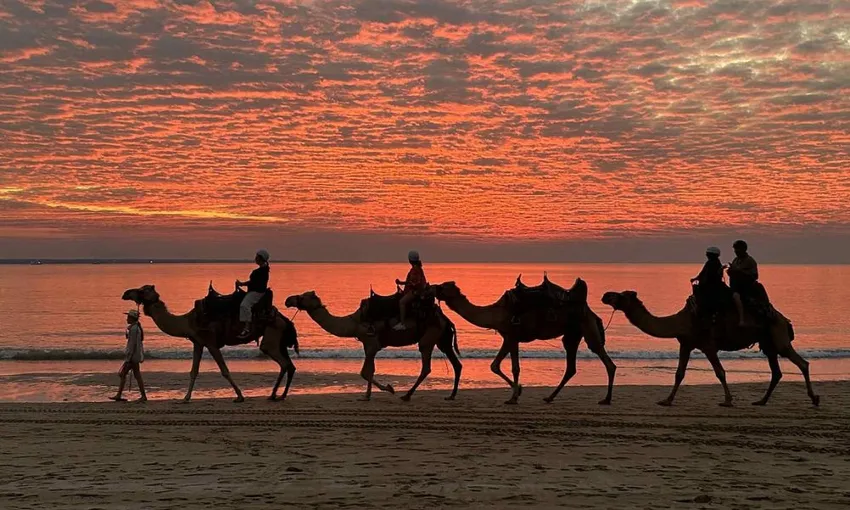 Sunset Camel Ride at Mindil Beach Darwin | Experience Oz