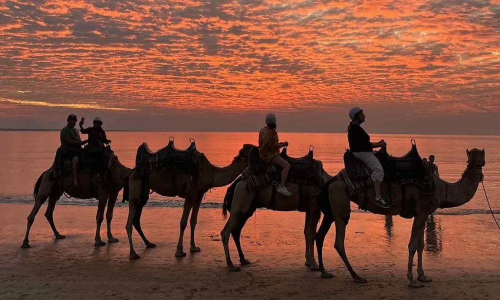 Sunset Camel Ride at Mindil Beach Darwin | Experience Oz-4