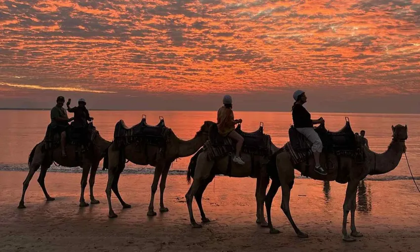 Sunset Camel Ride at Mindil Beach Darwin | Experience Oz