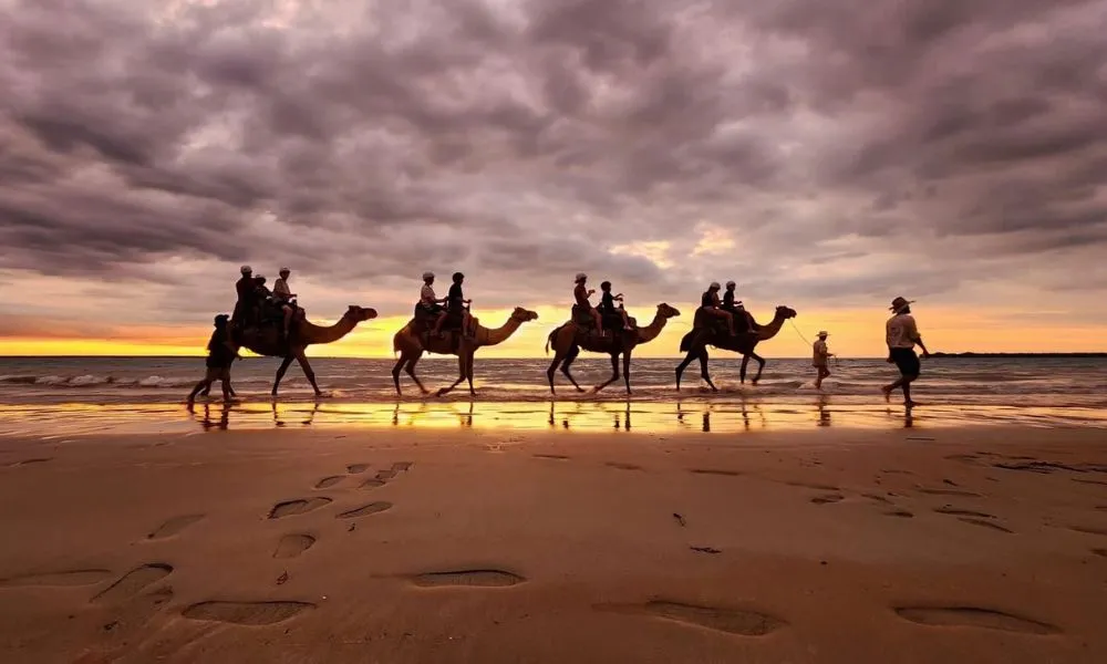 Sunset Camel Ride at Mindil Beach Darwin | Experience Oz-5