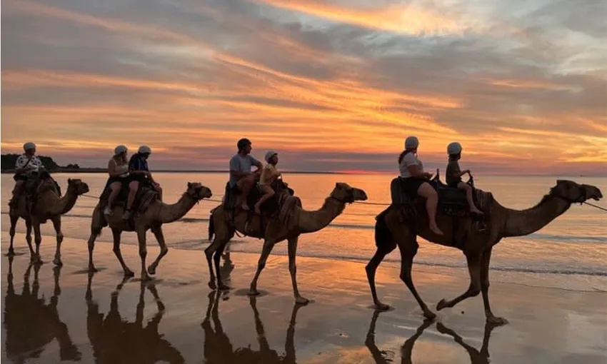 Sunset Camel Ride at Mindil Beach Darwin | Experience Oz