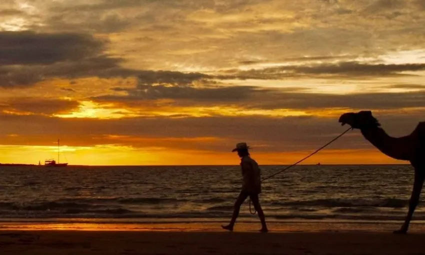 Sunset Camel Ride at Mindil Beach Darwin | Experience Oz