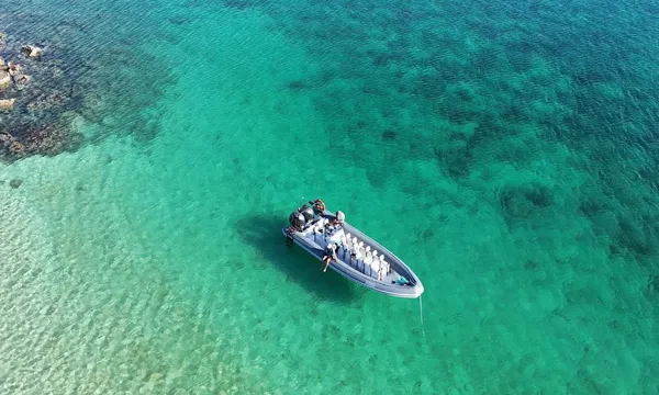 Dampier Archipelago Wildlife and Island Adventure - Full Day