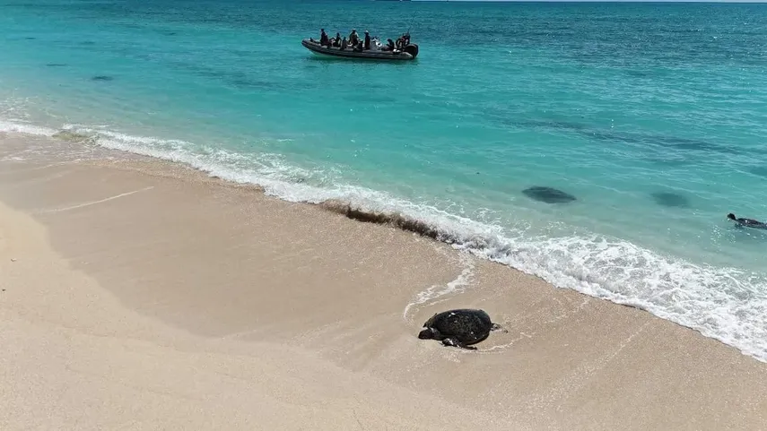 Dampier Archipelago Adventure - Full Day | Experience Oz