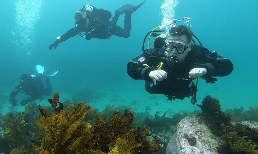 Bondi Introductory Scuba Dive Session - 4 Hours | Experience Oz