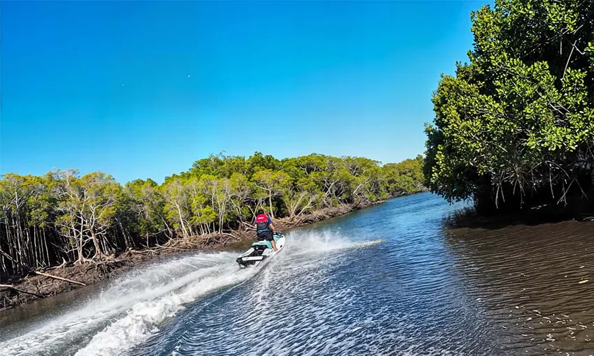 Cairns Trinity Inlet Guided Jet Ski Tour - 1 Hour | Experience Oz