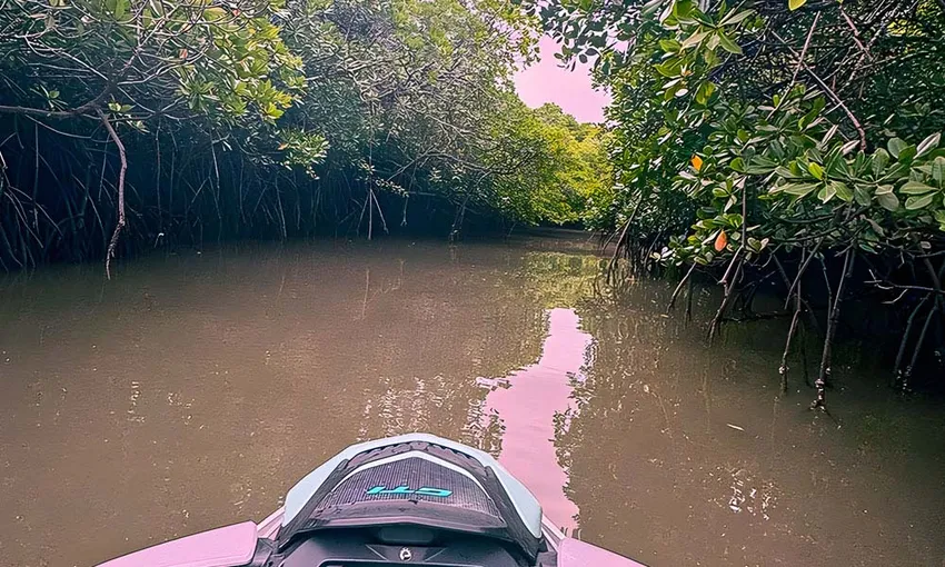 Cairns Trinity Inlet Guided Jet Ski Tour - 1 Hour | Experience Oz