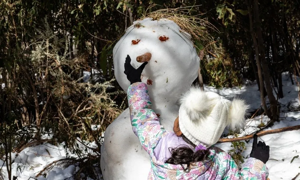 Lake Mountain Snow Tour with Waterfalls & Treats | Experience Oz-6