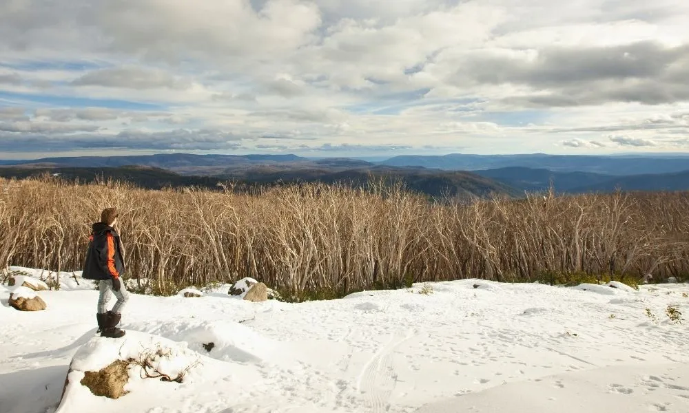 Lake Mountain Snow Tour with Waterfalls & Treats | Experience Oz-9