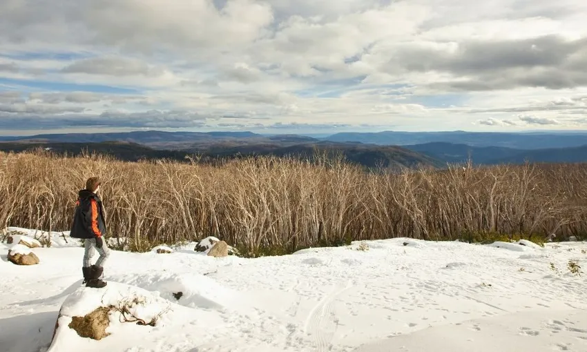 Lake Mountain Snow Tour with Waterfalls & Treats | Experience Oz