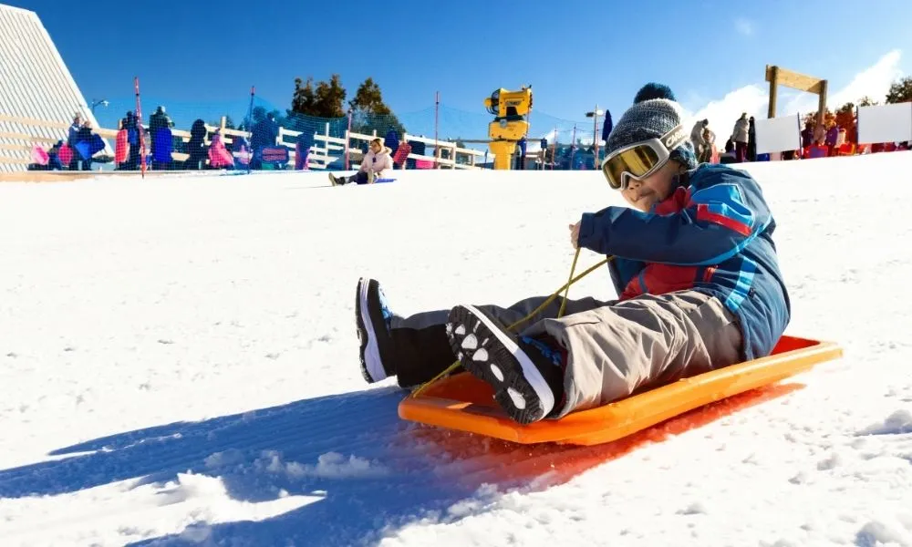 Lake Mountain Snow Tour with Waterfalls & Treats | Experience Oz-10