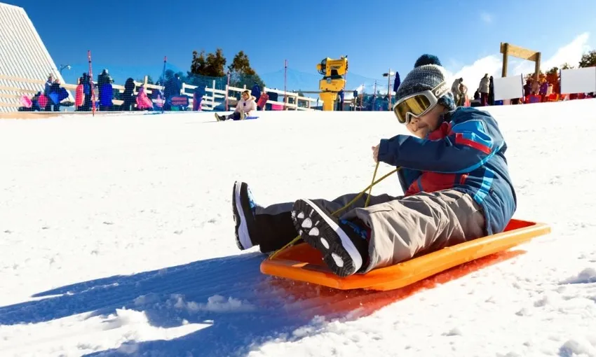 Lake Mountain Snow Tour with Waterfalls & Treats | Experience Oz