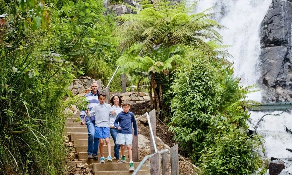 Lake Mountain Snow Tour with Waterfalls & Treats | Experience Oz-11