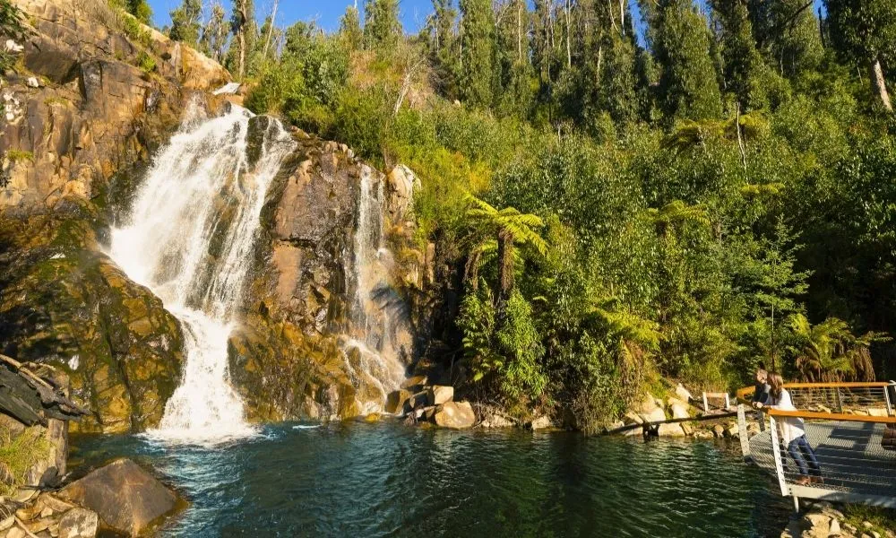 Lake Mountain Snow Tour with Waterfalls & Treats | Experience Oz-5