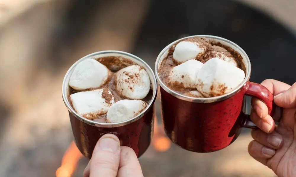 Lake Mountain Snow Tour with Waterfalls & Treats | Experience Oz-4