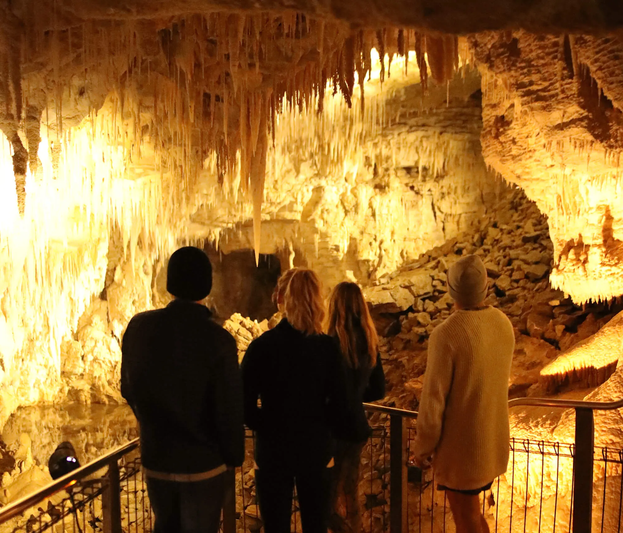 Waitomo Caves & Te Puia Tour from Auckland | Experience Oz + NZ-9