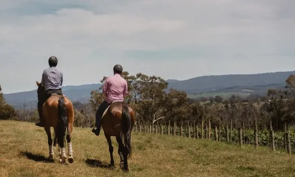 Petaluma Wines Horse Trail Riding & Wine Tasting - For 2