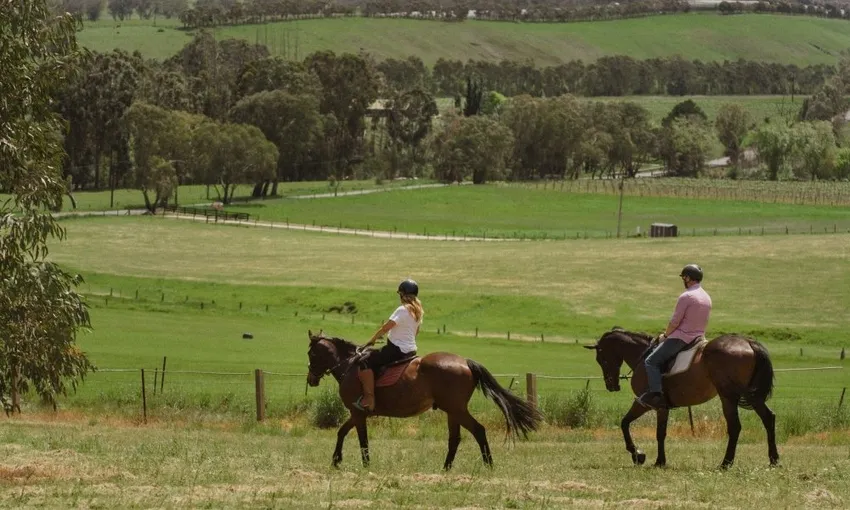 Petaluma Horse Riding & Wine Tasting - For 2 | Experience Oz