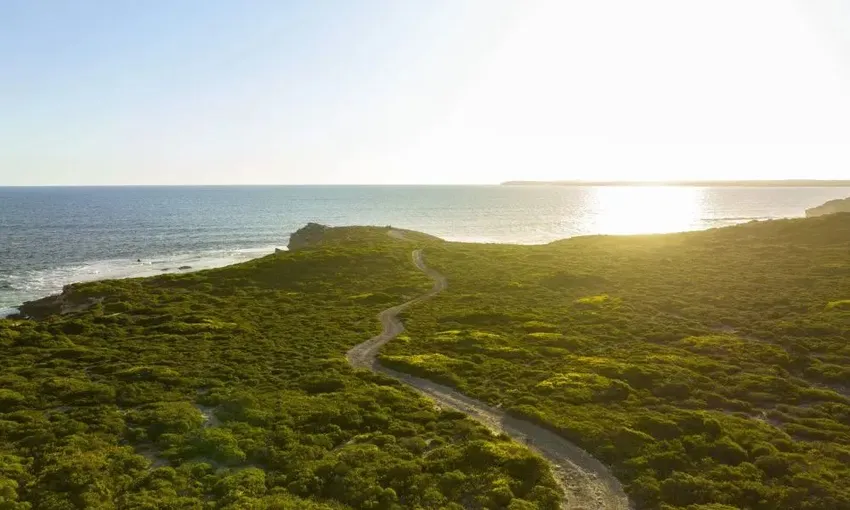 Kangaroo Island Buggy Adventure Tour - 2 Hours | Experience Oz