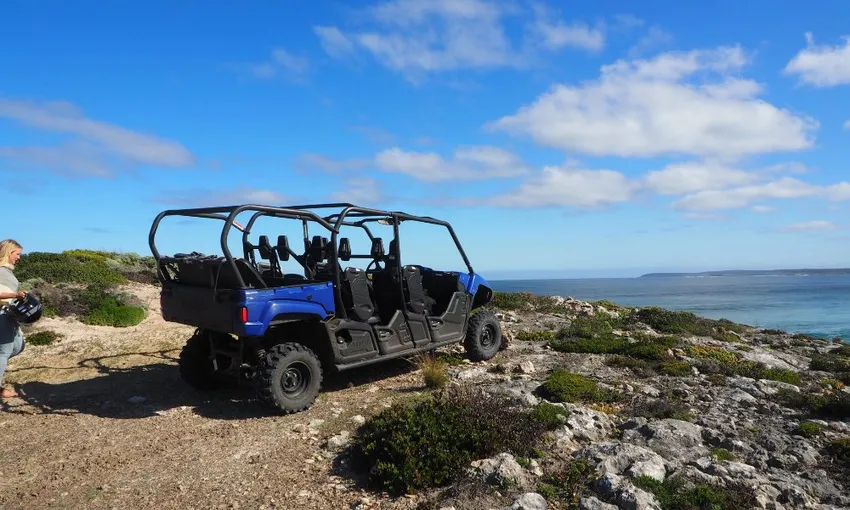 Kangaroo Island Buggy Adventure Tour - 2 Hours | Experience Oz