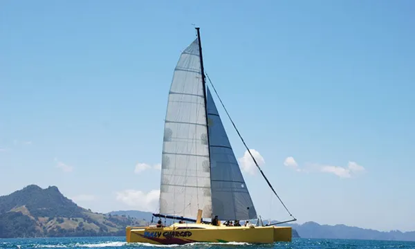 Mercury Bay Sailing Adventure & Snorkelling - 3.5 Hours