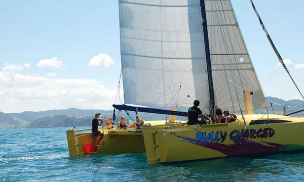 Mercury Bay Sailing Adventure & Snorkelling - 3.5 Hours