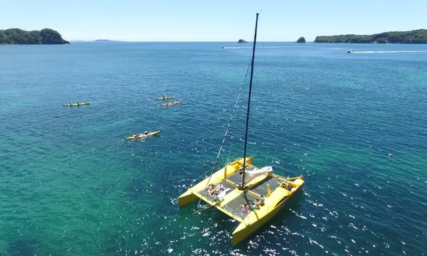 Mercury Bay Sailing Adventure & Snorkelling - 3.5 Hours