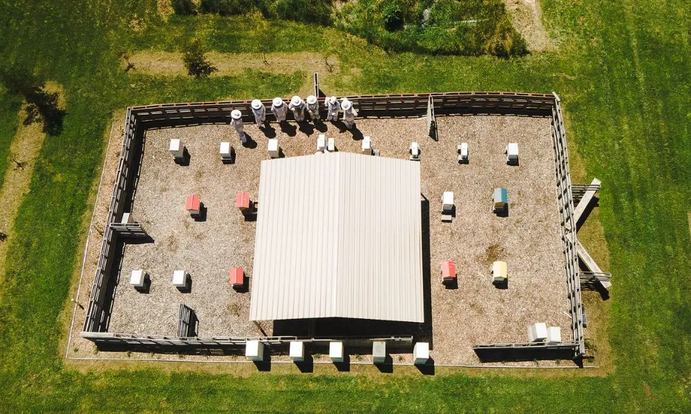 Bowral Beekeeping Tour & Tasting - 2 Hours | Experience Oz-7