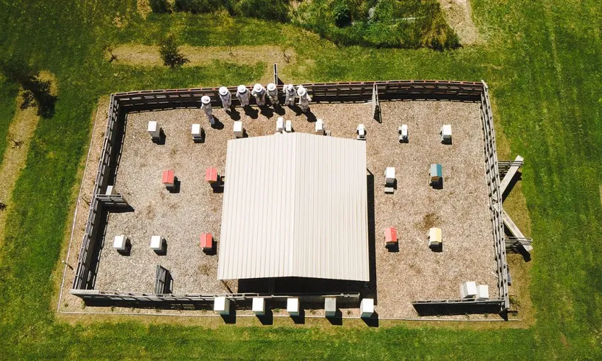 Bowral Beekeeping Tour & Tasting - 2 Hours | Experience Oz