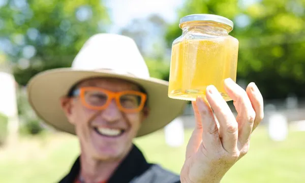 Bowral Beekeeping Tour & Tasting with Morning Tea - 2 Hours