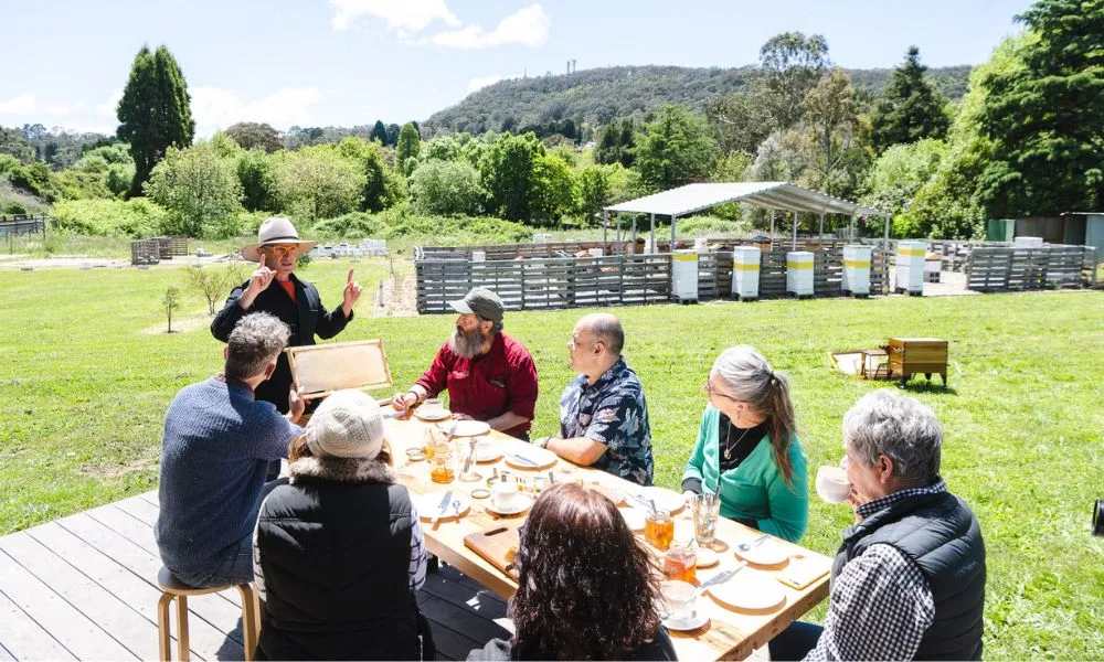 Bowral Beekeeping Tour & Tasting - 2 Hours | Experience Oz-3