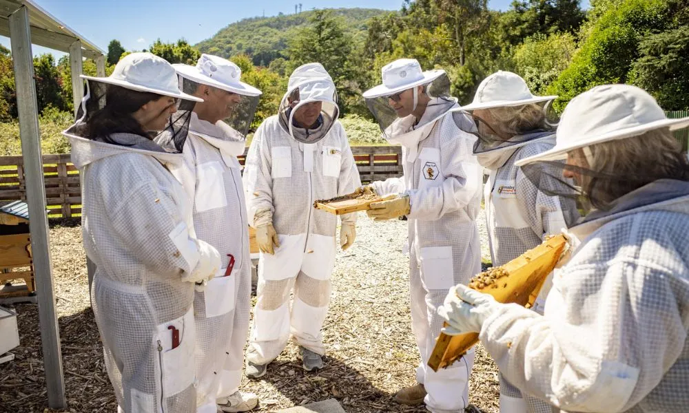 Bowral Beekeeping Tour & Tasting - 2 Hours | Experience Oz-5